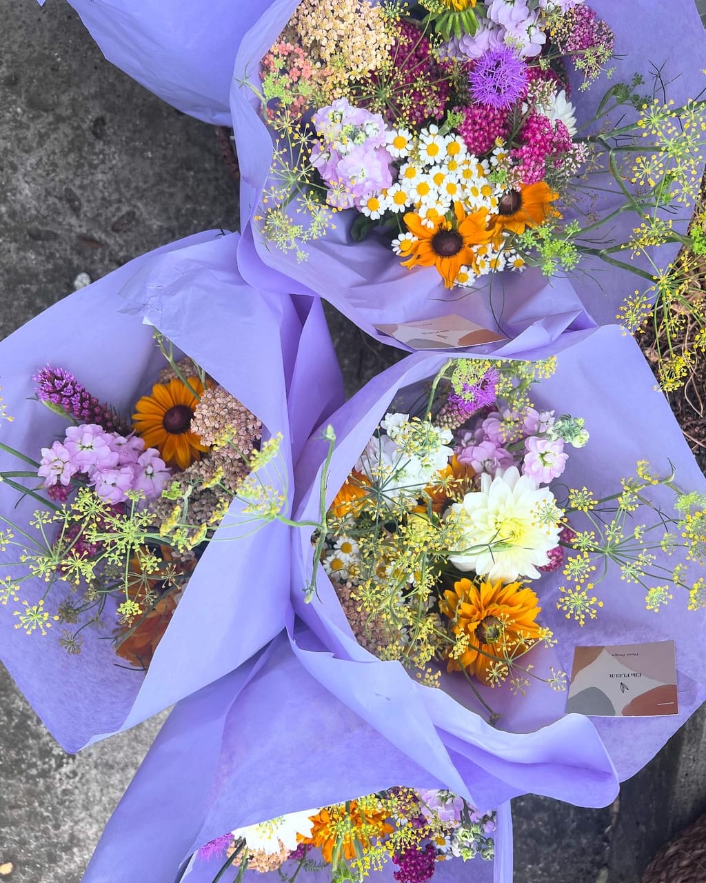 Drei Sträuße in lila Seidenpapier mit Dahlien, Rudbeckien, Schafgarbe und Fenchel