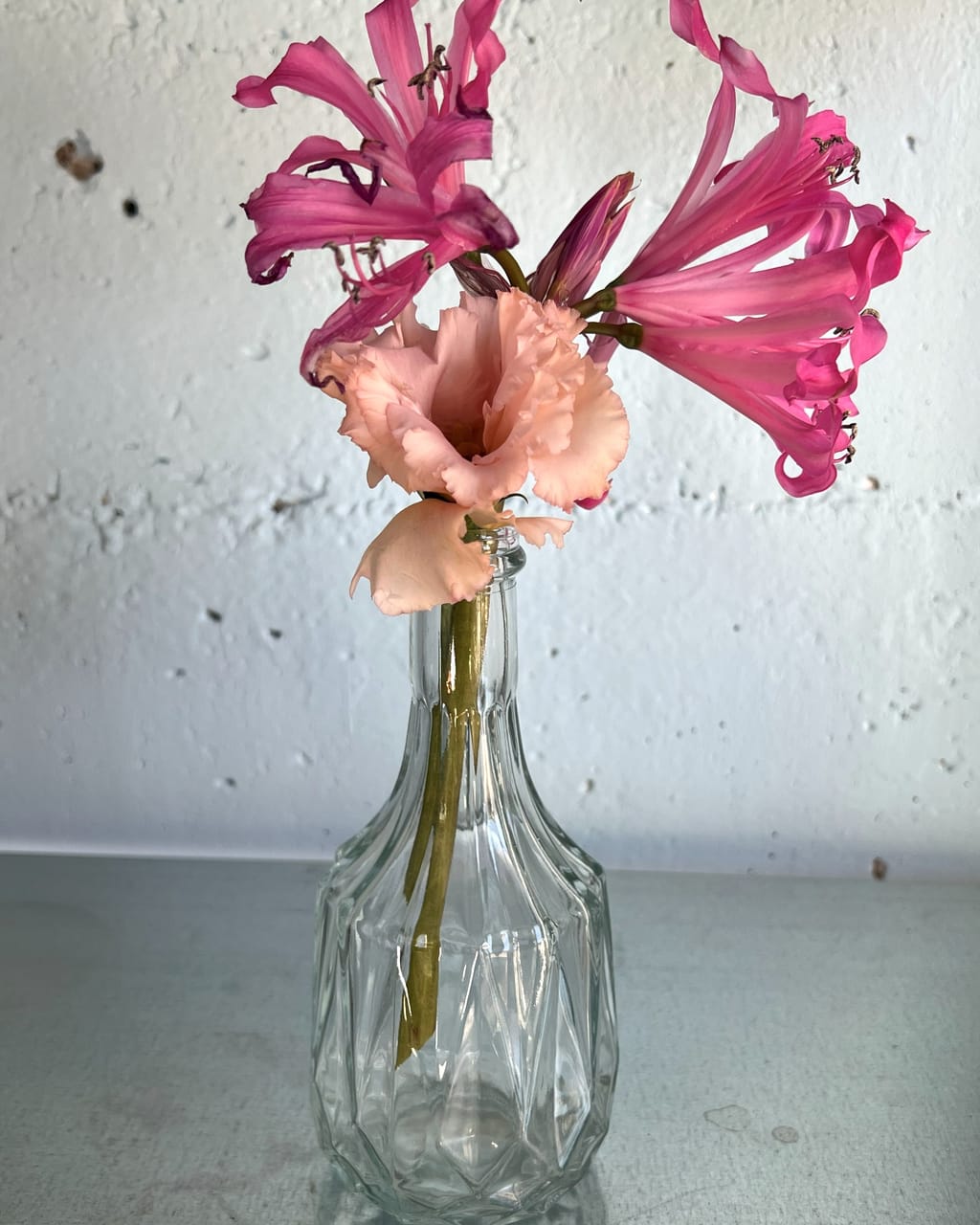 Geschliffene Flaschenvase mit Nerine und einer lachsfarbenen Blüte