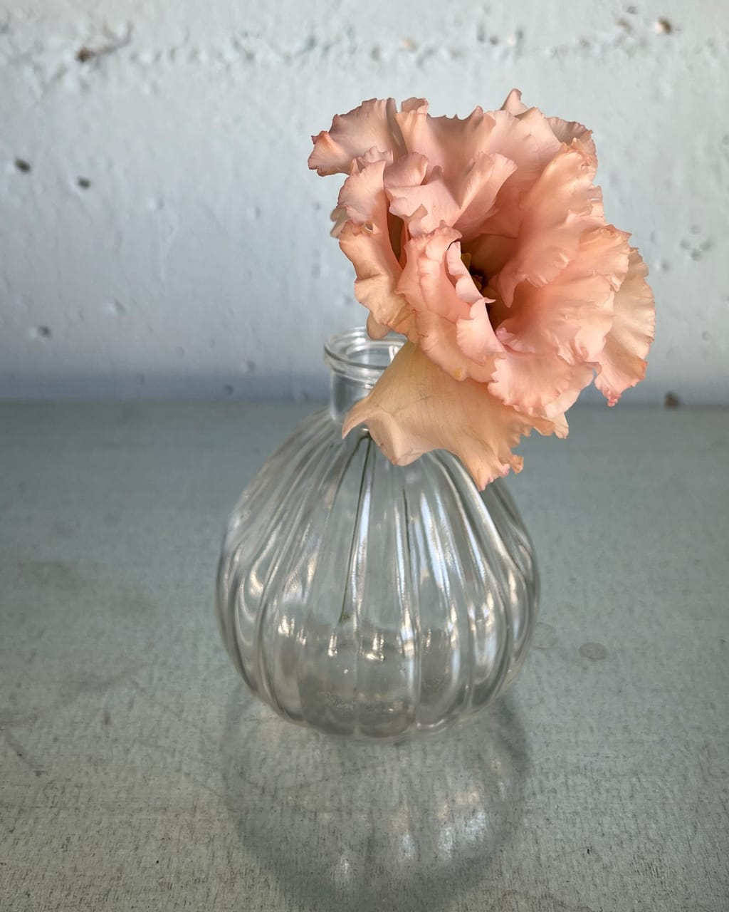 Kleine bauchige Glasvase mit Rillen und einer lachsfarbenen Blüte