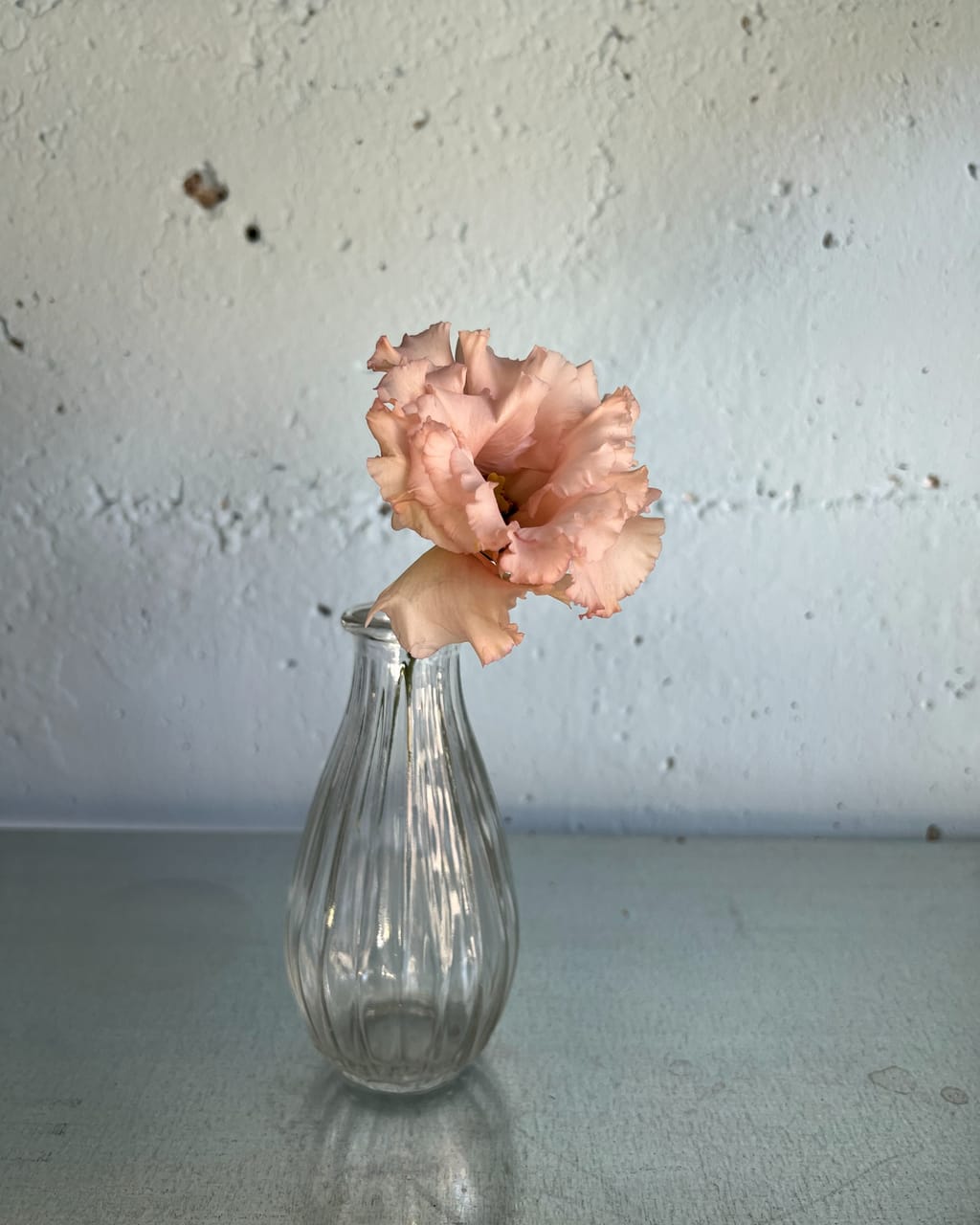 Schlanke Glasvase mit Rillen und einer lachsfarbenen Blüte